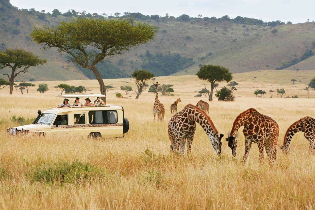 luxury african safari