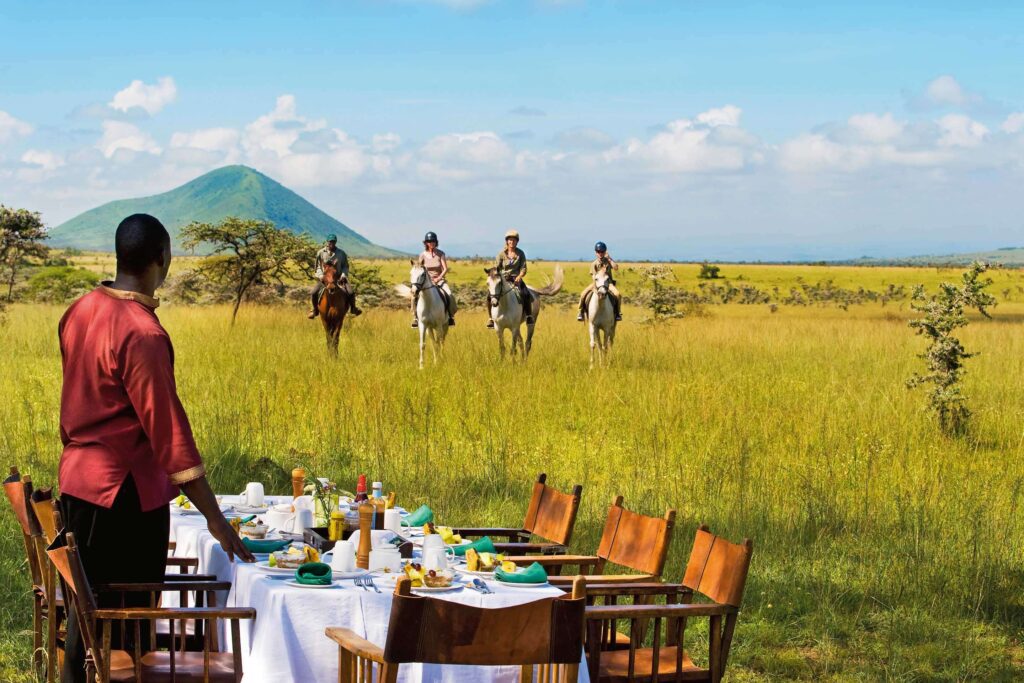 luxury African safari