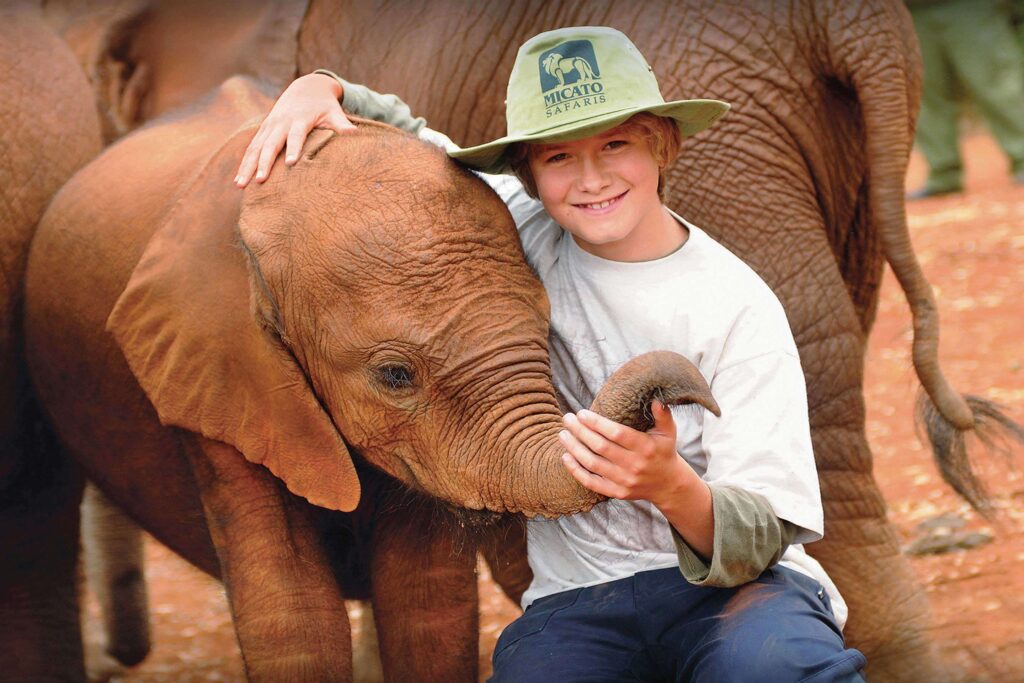 luxury African safari teenager with baby elephant