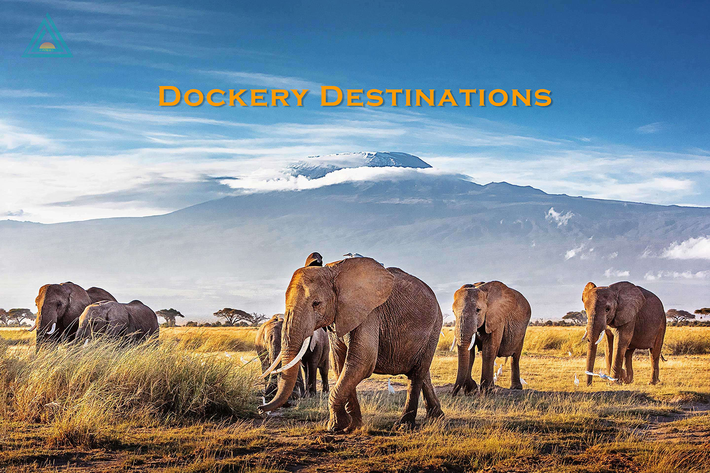 luxury african safari image with elephants and mountain background