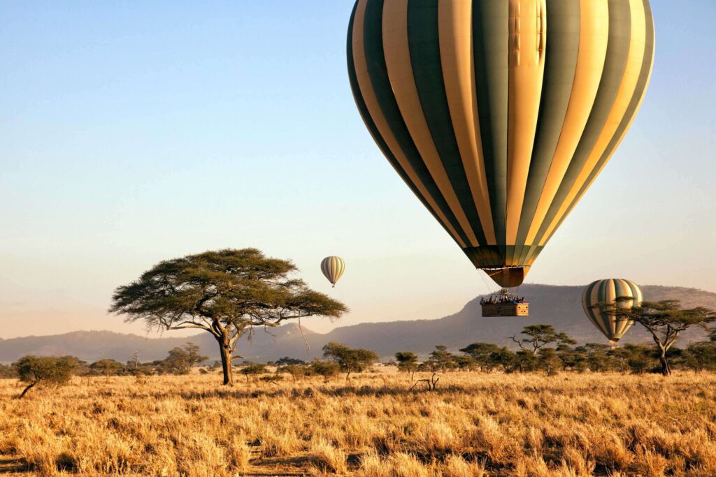 luxury African safari image of hot air balloons over serenghetti