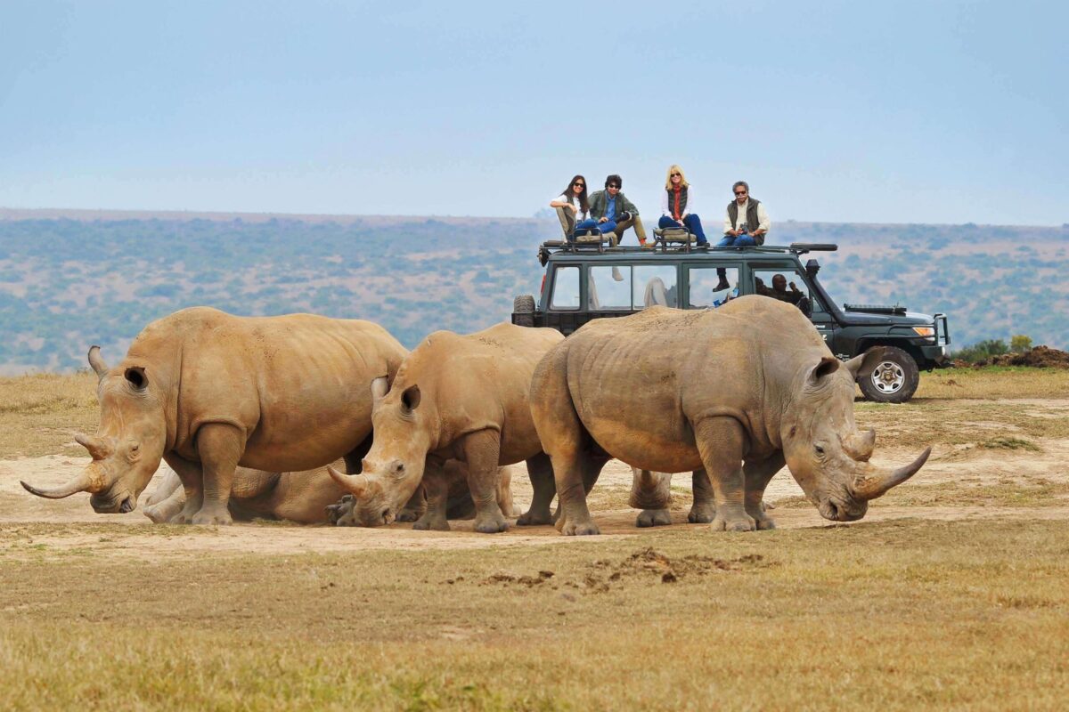 luxury african safari image of rhinos on the plains